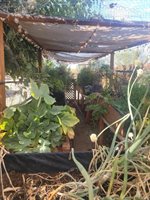 6637 Galleta Avenue, 29 Palms, CA 92277