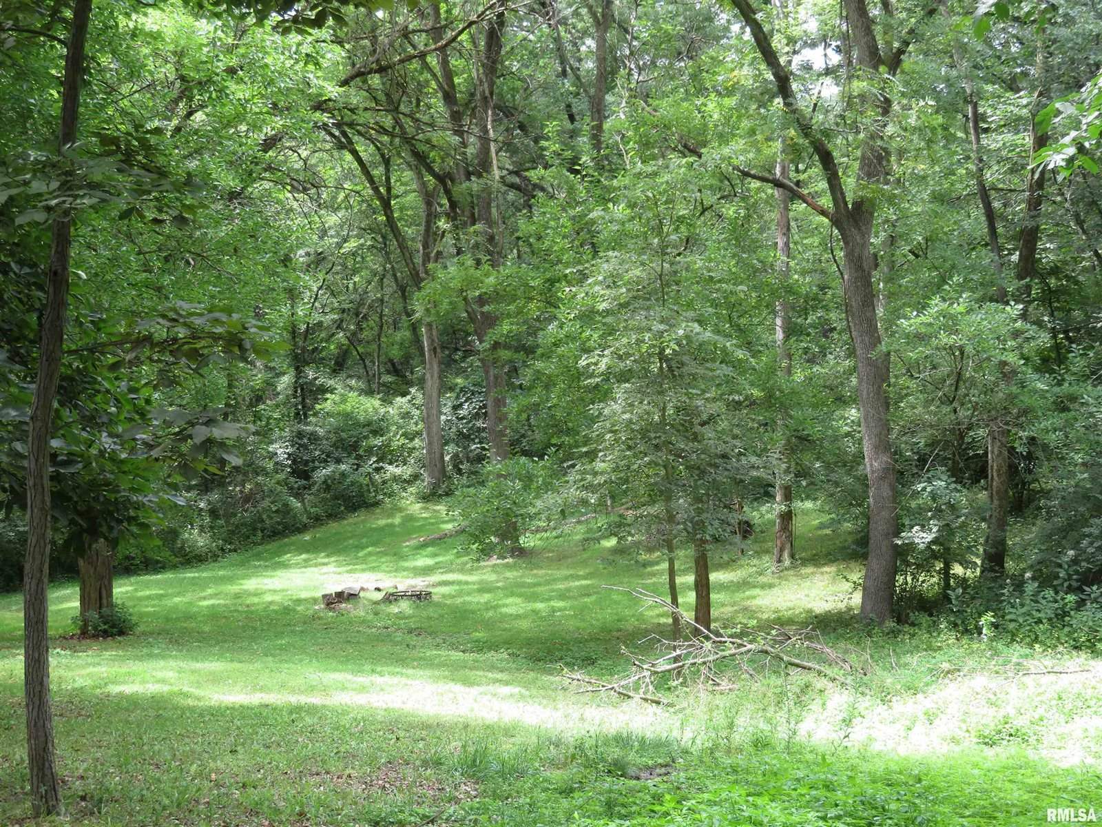 2975 157TH Avenue, Sherrard, IL 61281