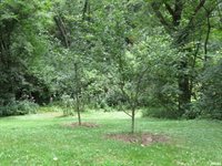 2975 157TH Avenue, Sherrard, IL 61281