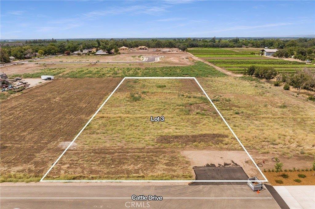 33 Cattle Drive Court, Chico, CA 95973