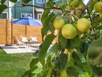 11314 NW 7th ave, Vancouver, WA 98685