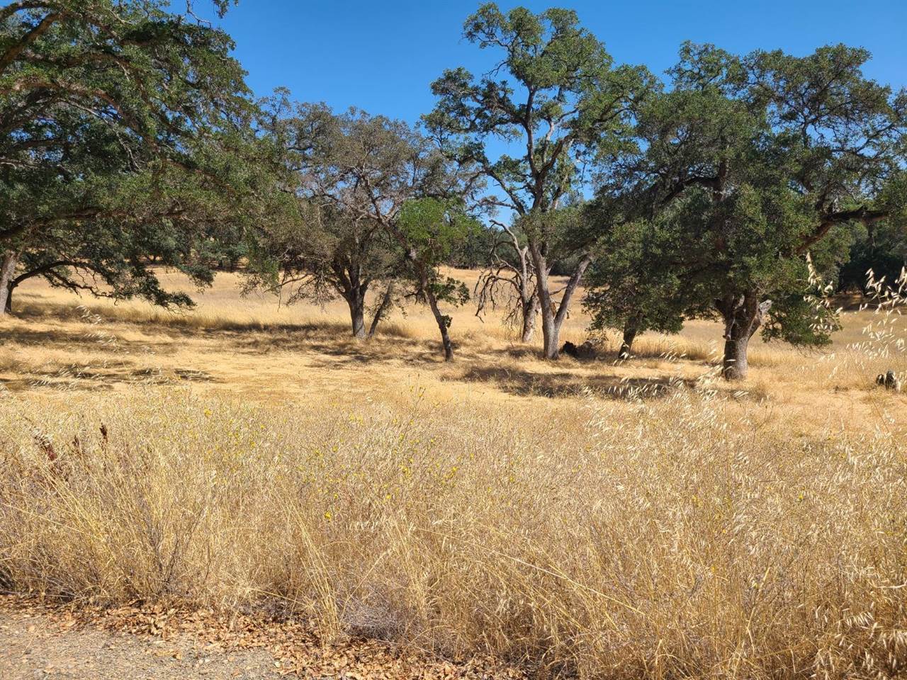 0 Blue Oak Ranch Road, Auburn, CA 95603