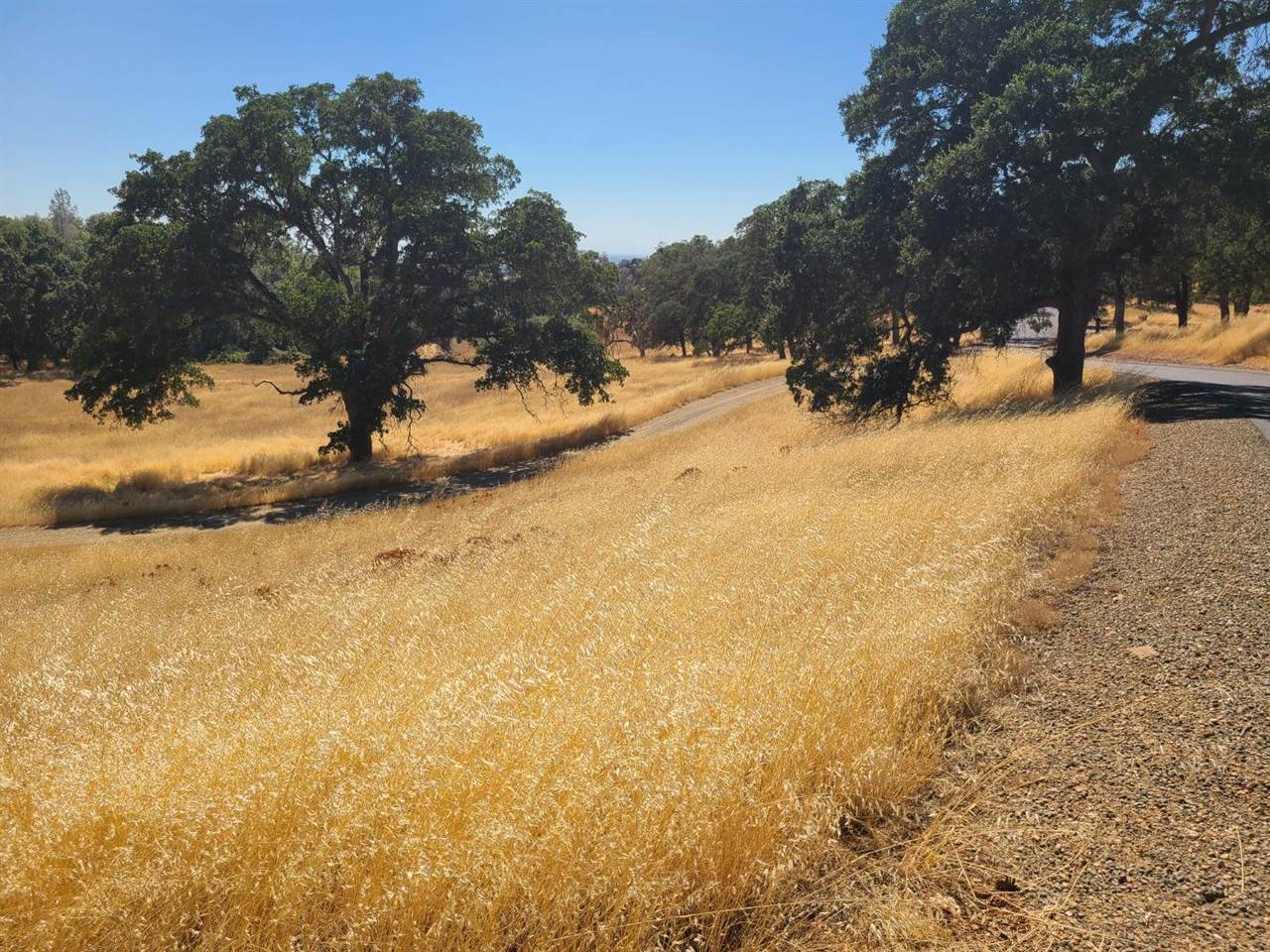 0 Blue Oak Ranch Road, Auburn, CA 95603