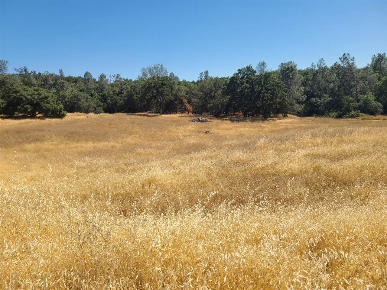 0 Blue Oak Ranch Road, Auburn, CA 95603