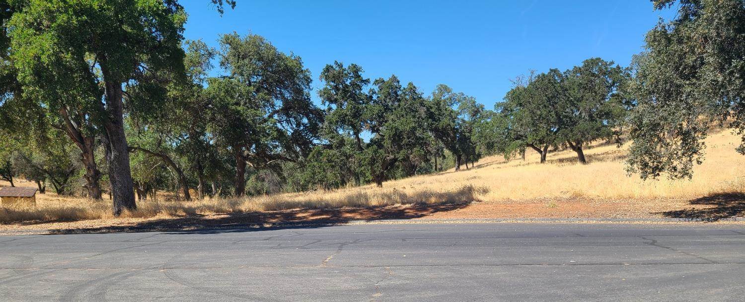 0 Blue Oak Ranch Road, Auburn, CA 95603