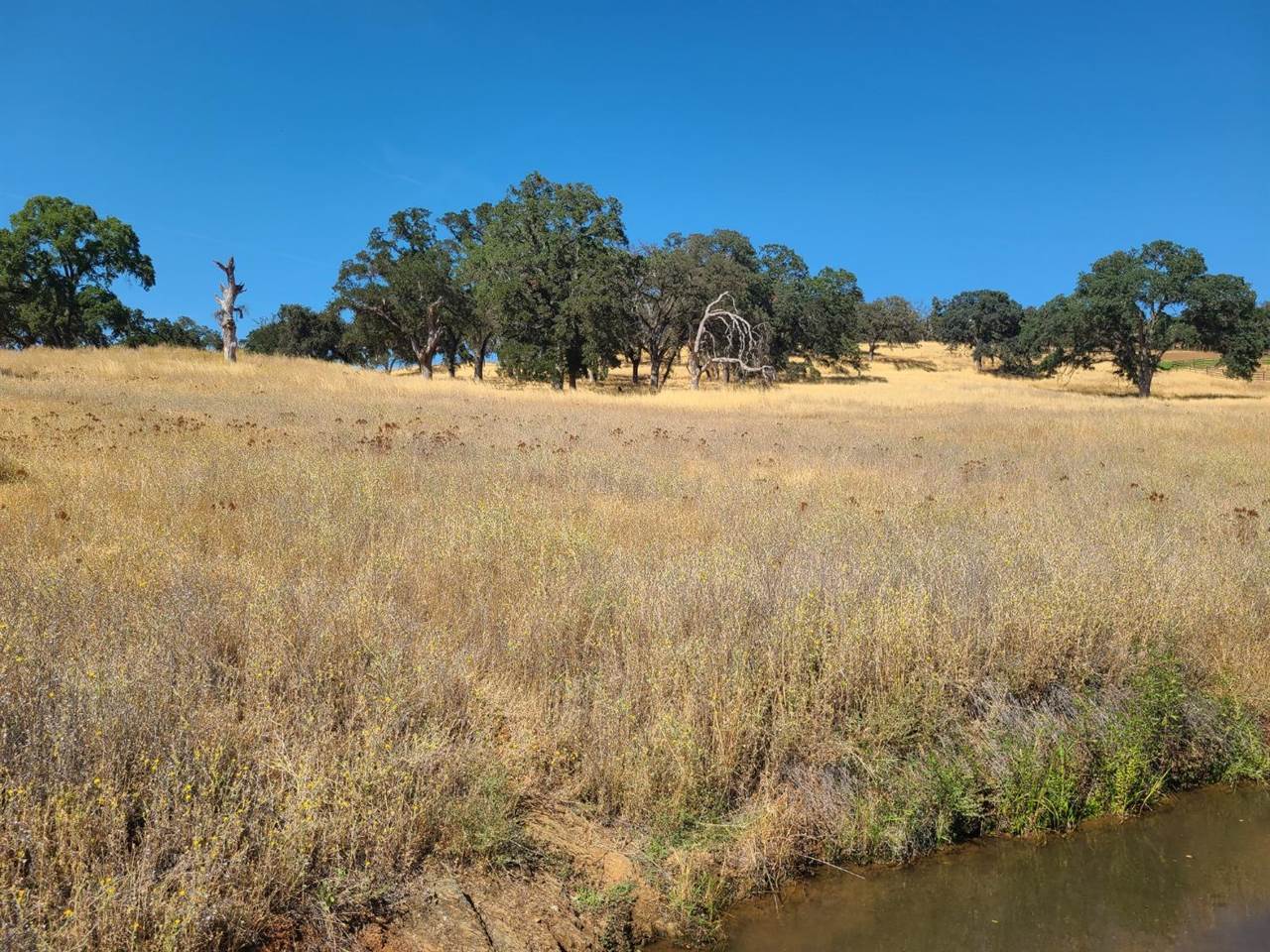 0 Blue Oak Ranch Road, Auburn, CA 95603