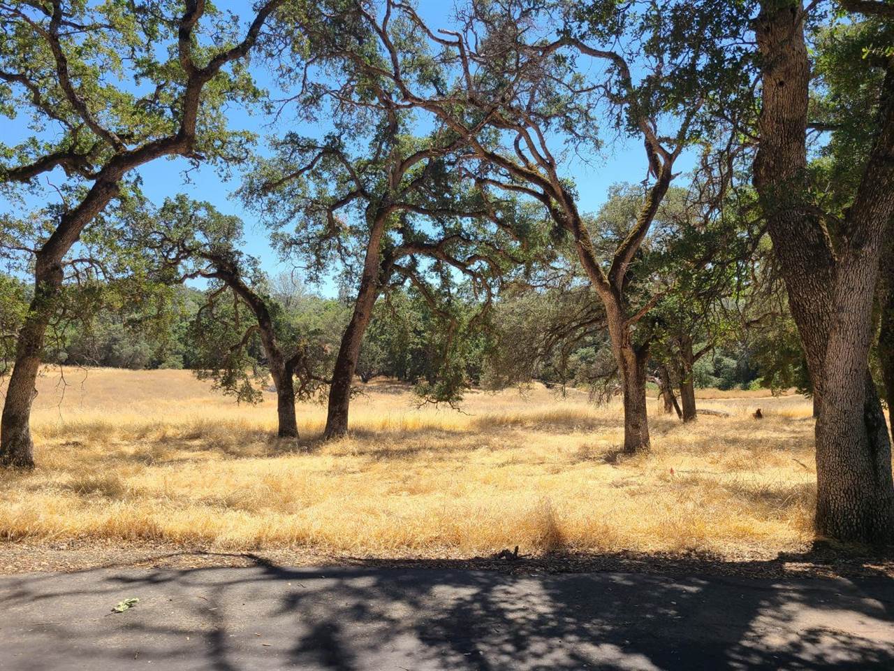 0 Blue Oak Ranch Road, Auburn, CA 95603