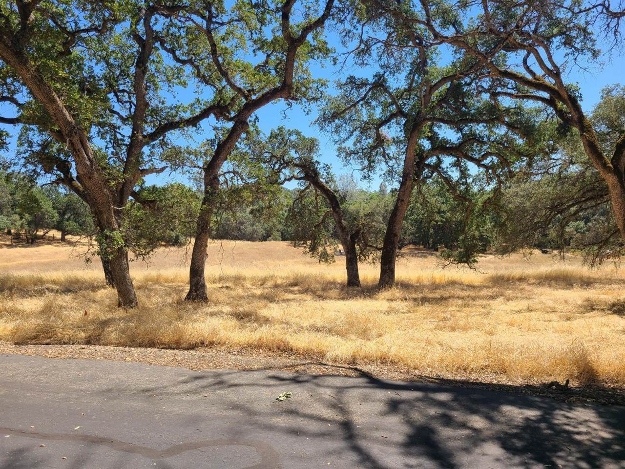 0 Blue Oak Ranch Road, Auburn, CA 95603