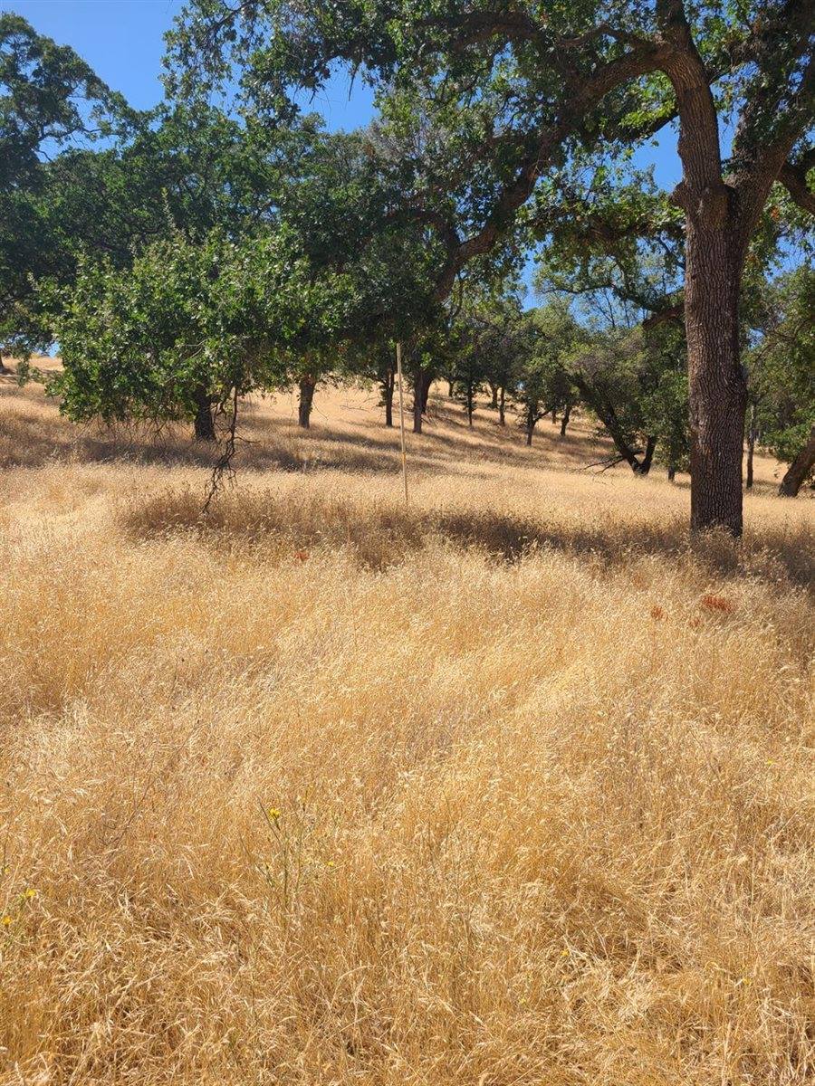 0 Blue Oak Ranch Road, Auburn, CA 95603