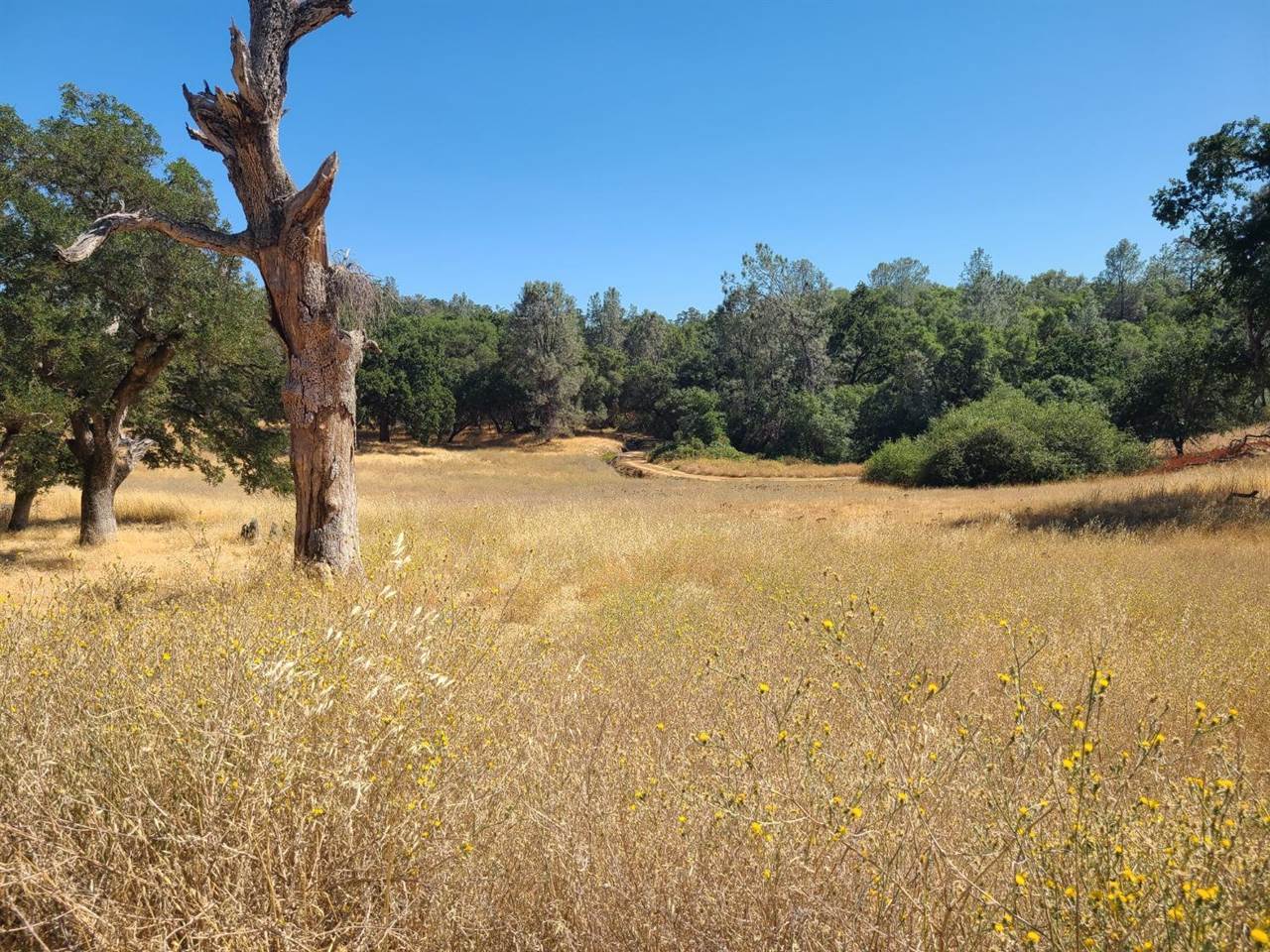 0 Blue Oak Ranch Road, Auburn, CA 95603