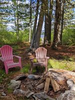 lot 22 Cook island, Orneville Township, ME 04463