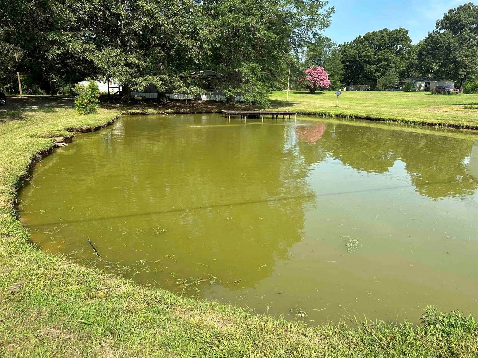 3702 Litt Wilson, Finger, TN 38334