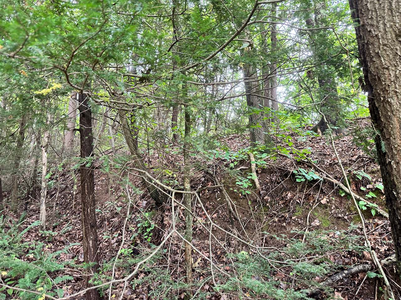 TBD Laurel Drive, Canton, NC 28716