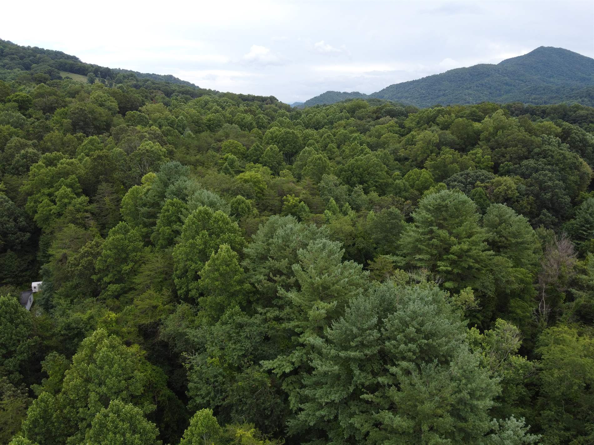 TBD Laurel Drive, Canton, NC 28716