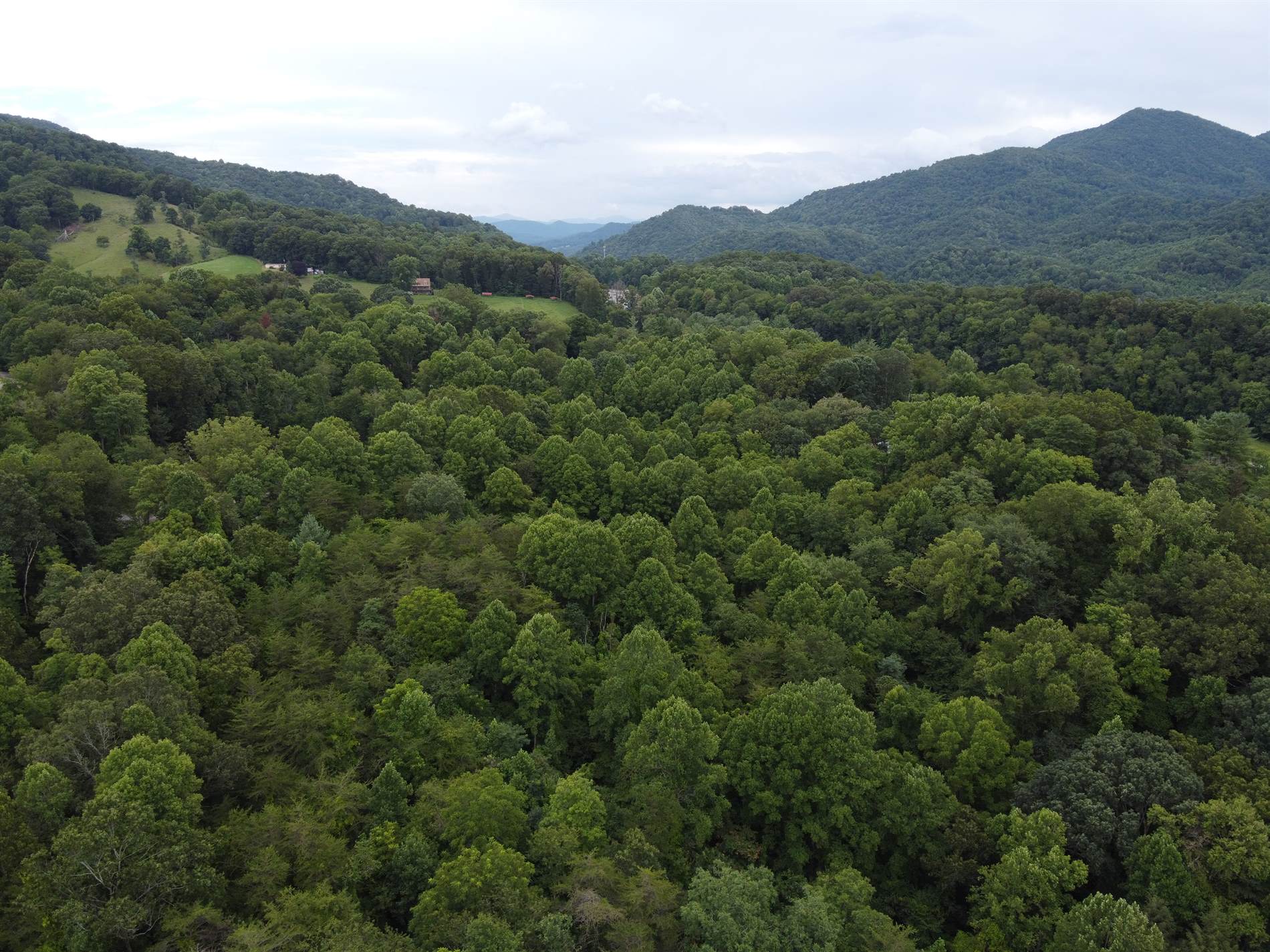 TBD Laurel Drive, Canton, NC 28716