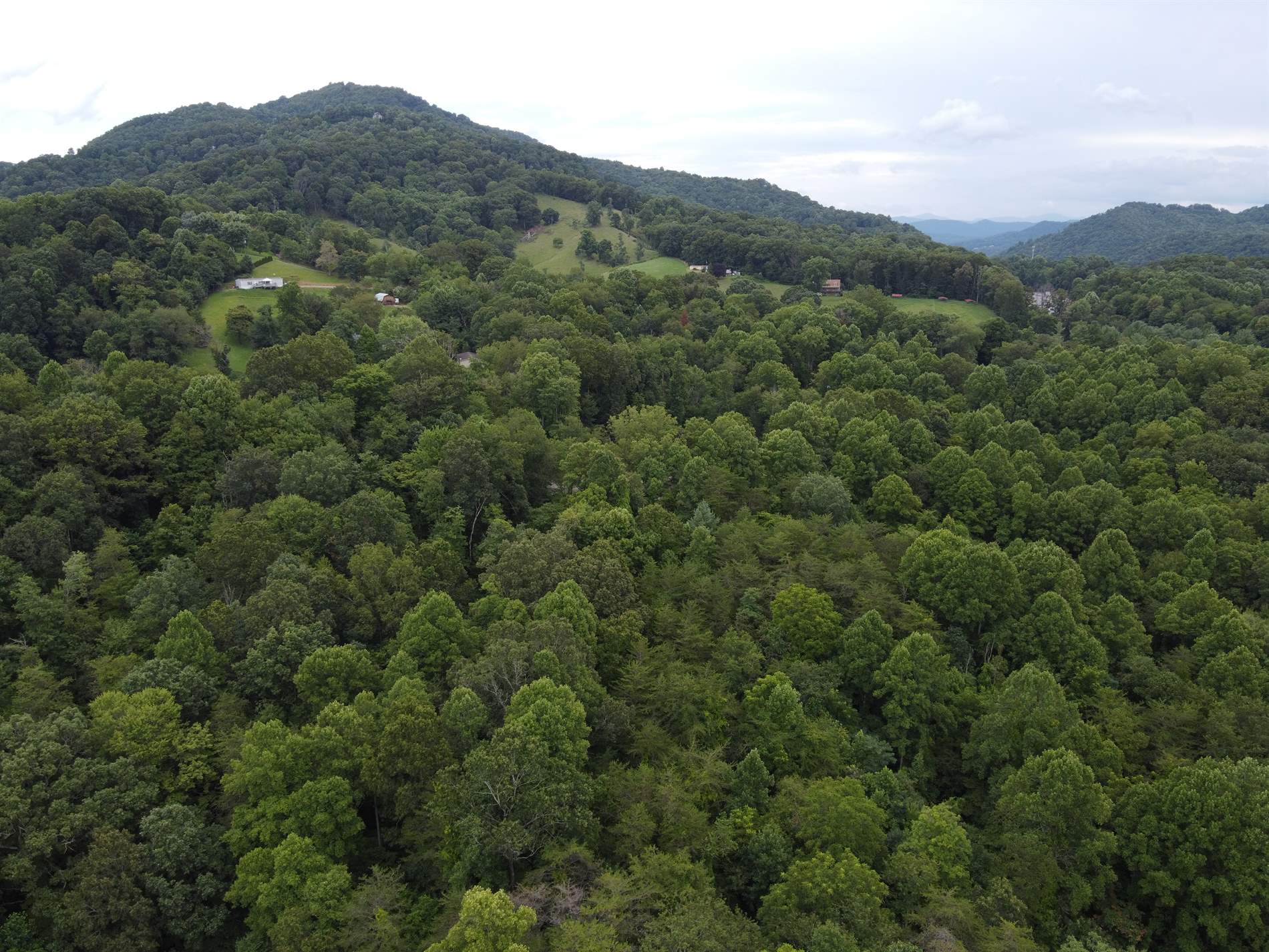 TBD Laurel Drive, Canton, NC 28716