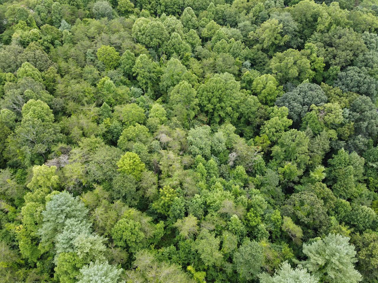 TBD Laurel Drive, Canton, NC 28716