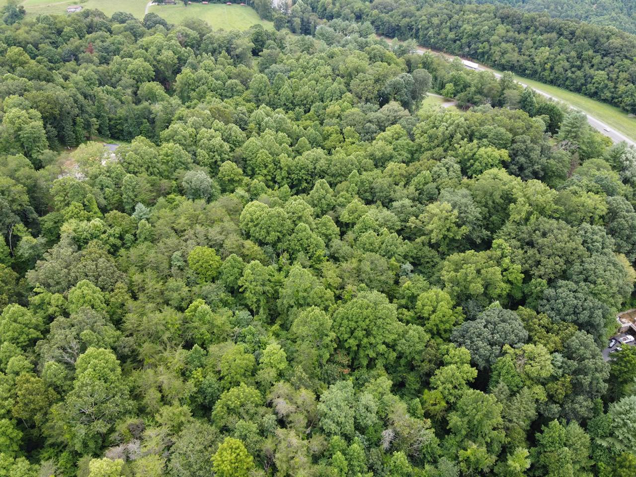 TBD Laurel Drive, Canton, NC 28716