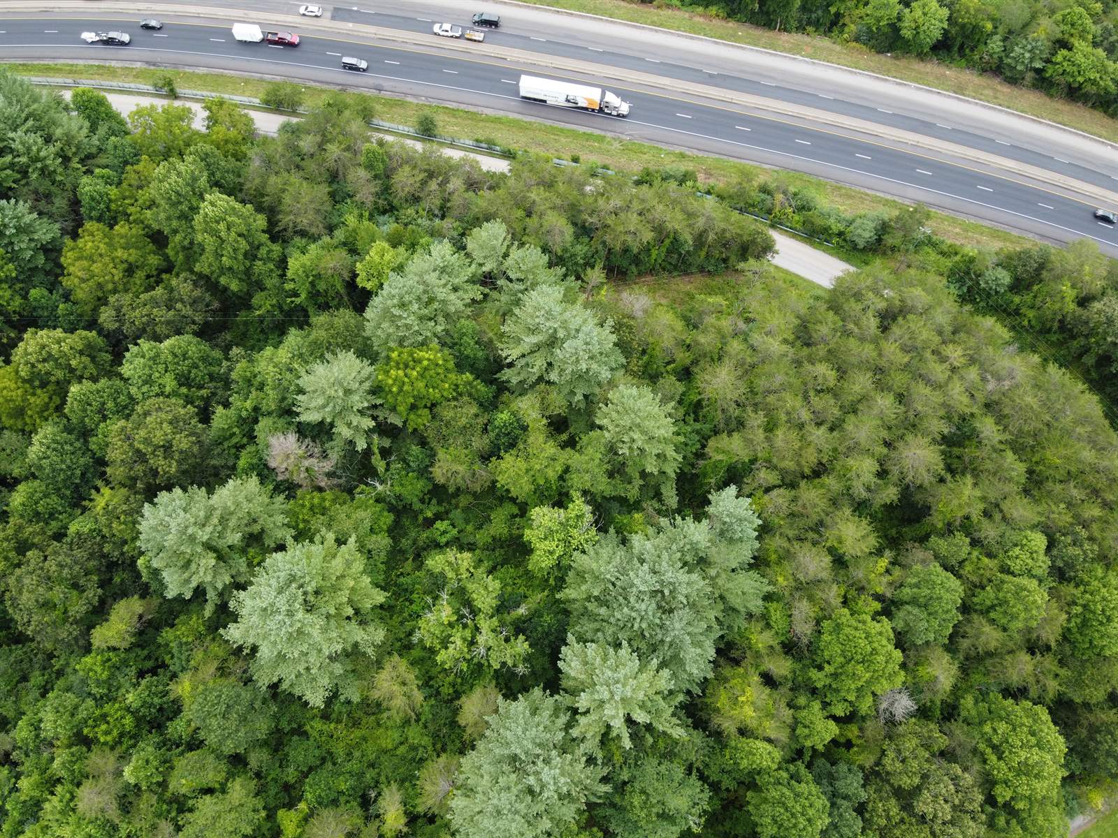 TBD Laurel Drive, Canton, NC 28716