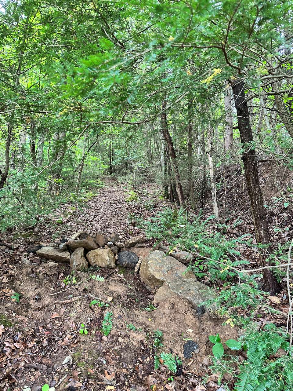 TBD Laurel Drive, Canton, NC 28716