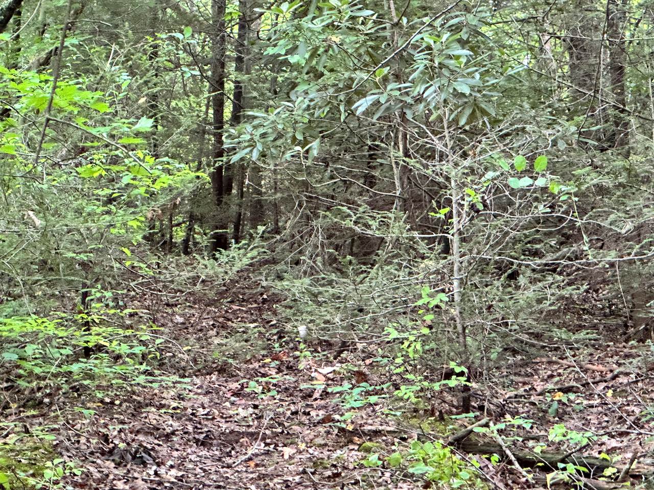 TBD Laurel Drive, Canton, NC 28716