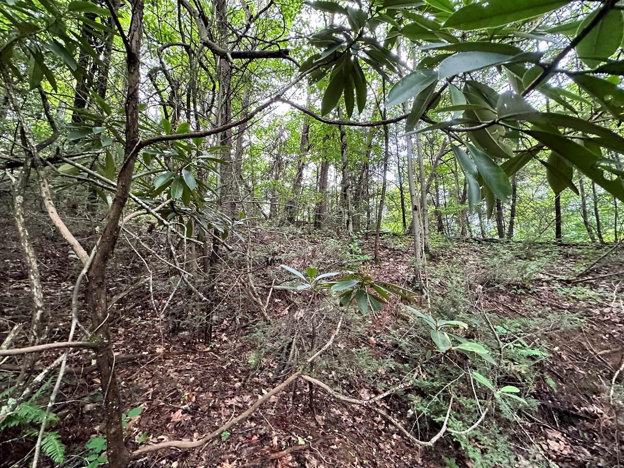 TBD Laurel Drive, Canton, NC 28716