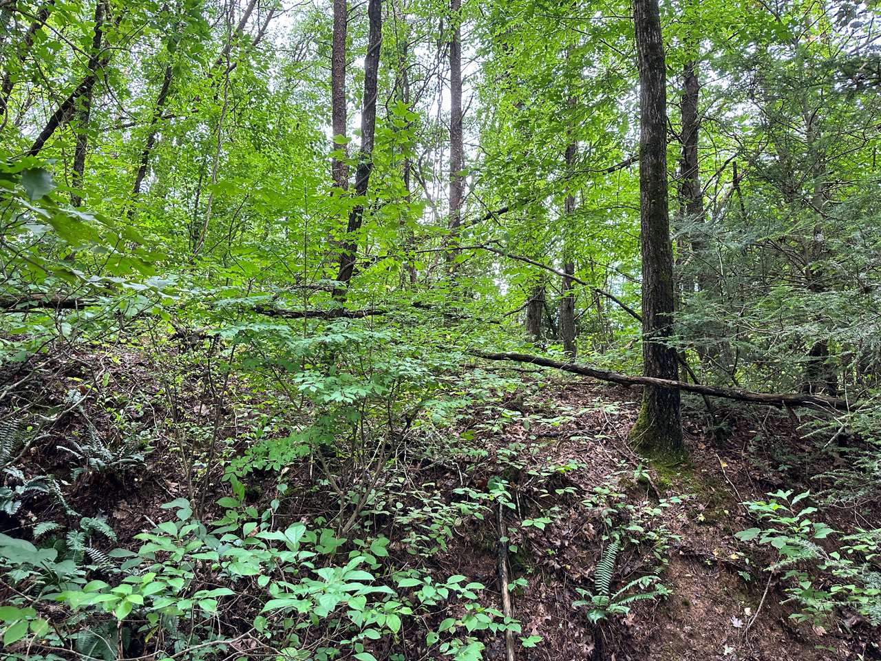 TBD Laurel Drive, Canton, NC 28716