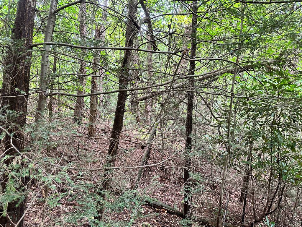 TBD Laurel Drive, Canton, NC 28716