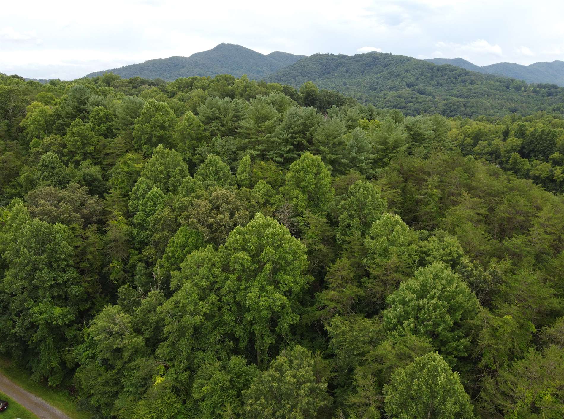 TBD Laurel Drive, Canton, NC 28716