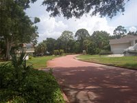 1320 Serpentine Drive South, Saint Petersburg, FL 33705