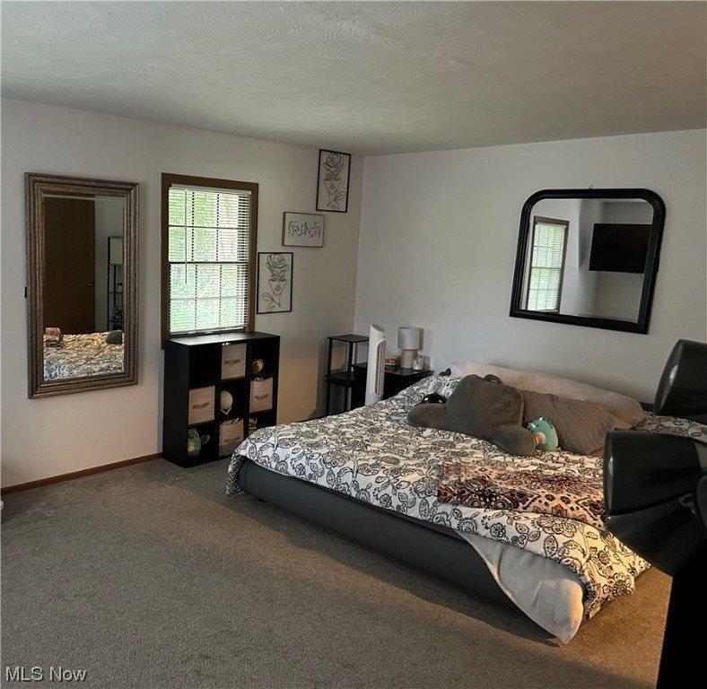 1629 Westhampton Drive, Youngstown, OH 44515