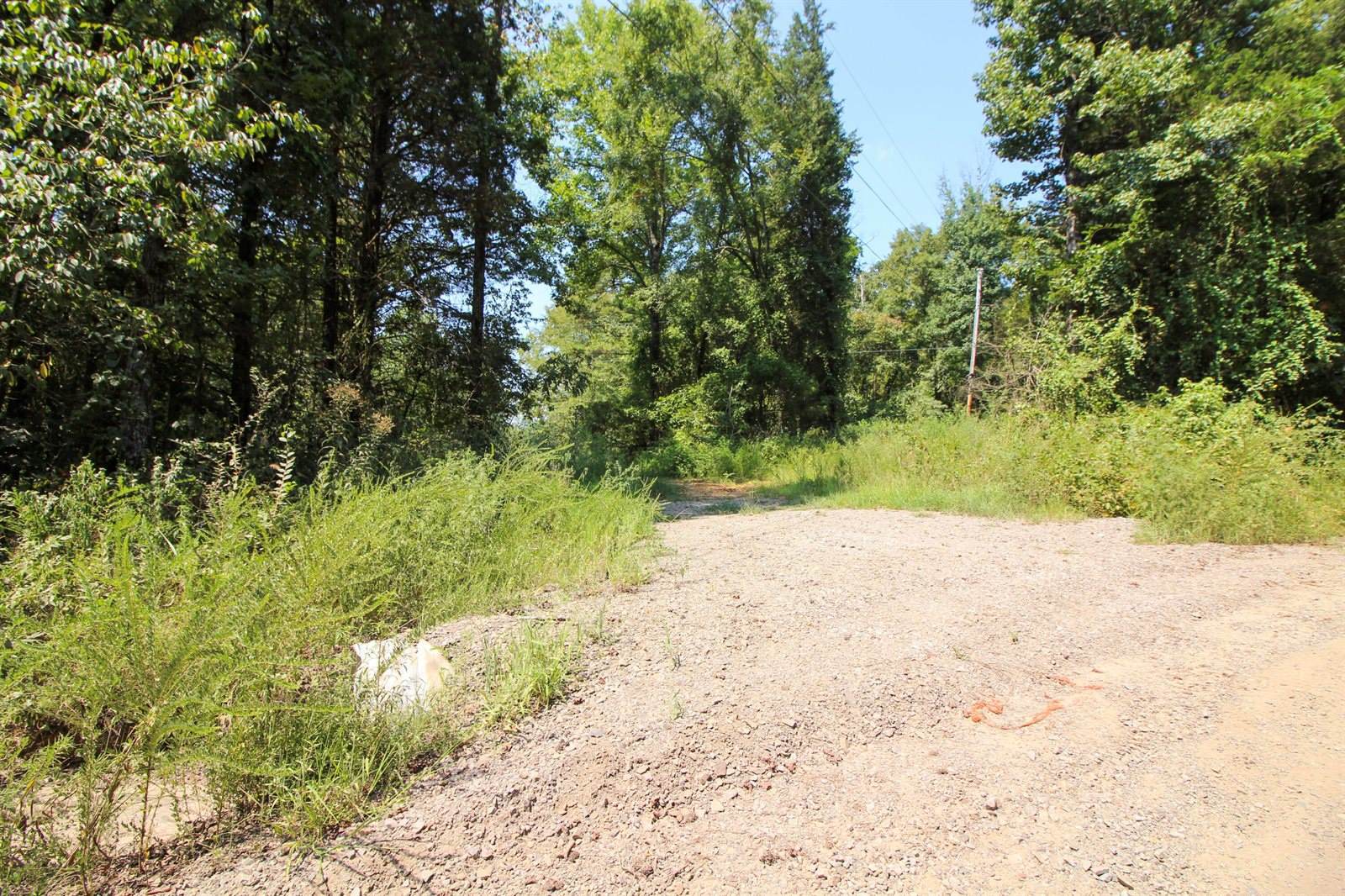 1825 Whorton Mountain Road, London, AR 72847