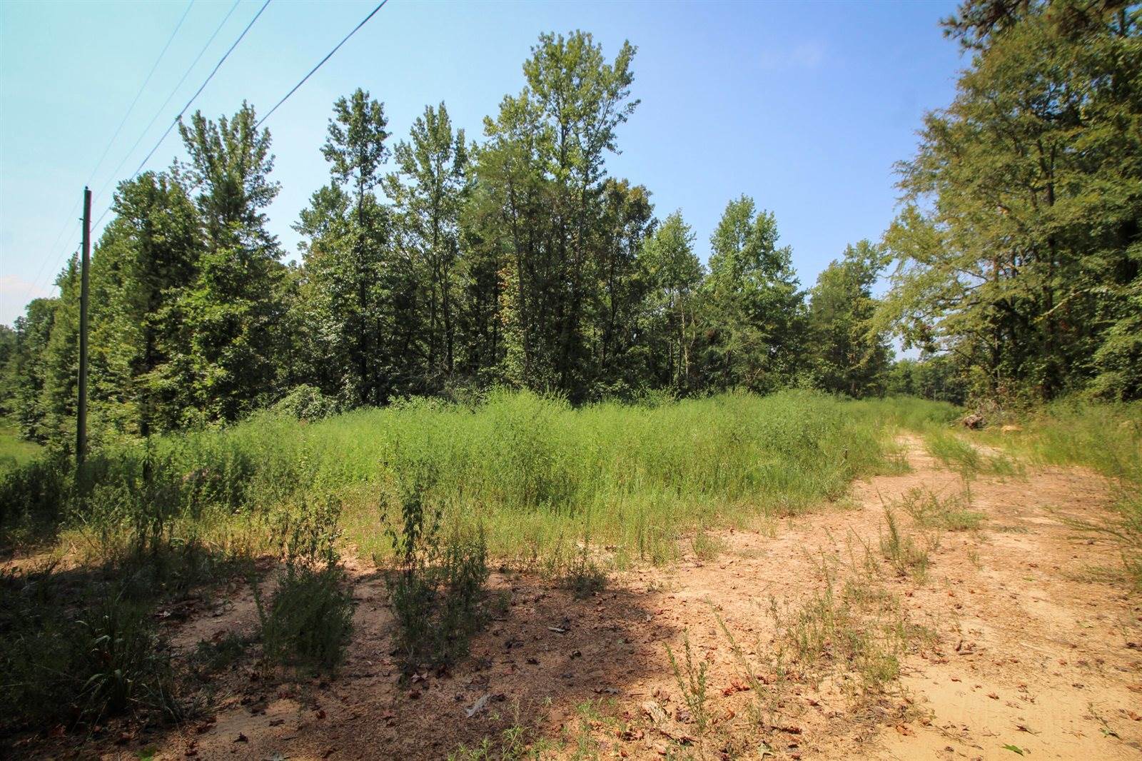 1825 Whorton Mountain Road, London, AR 72847