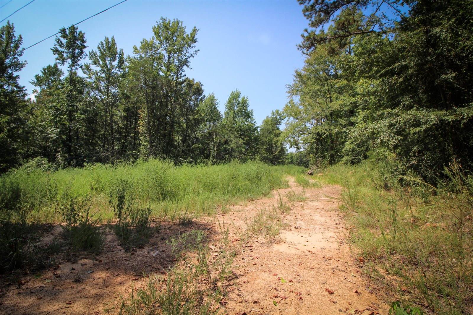 1825 Whorton Mountain Road, London, AR 72847