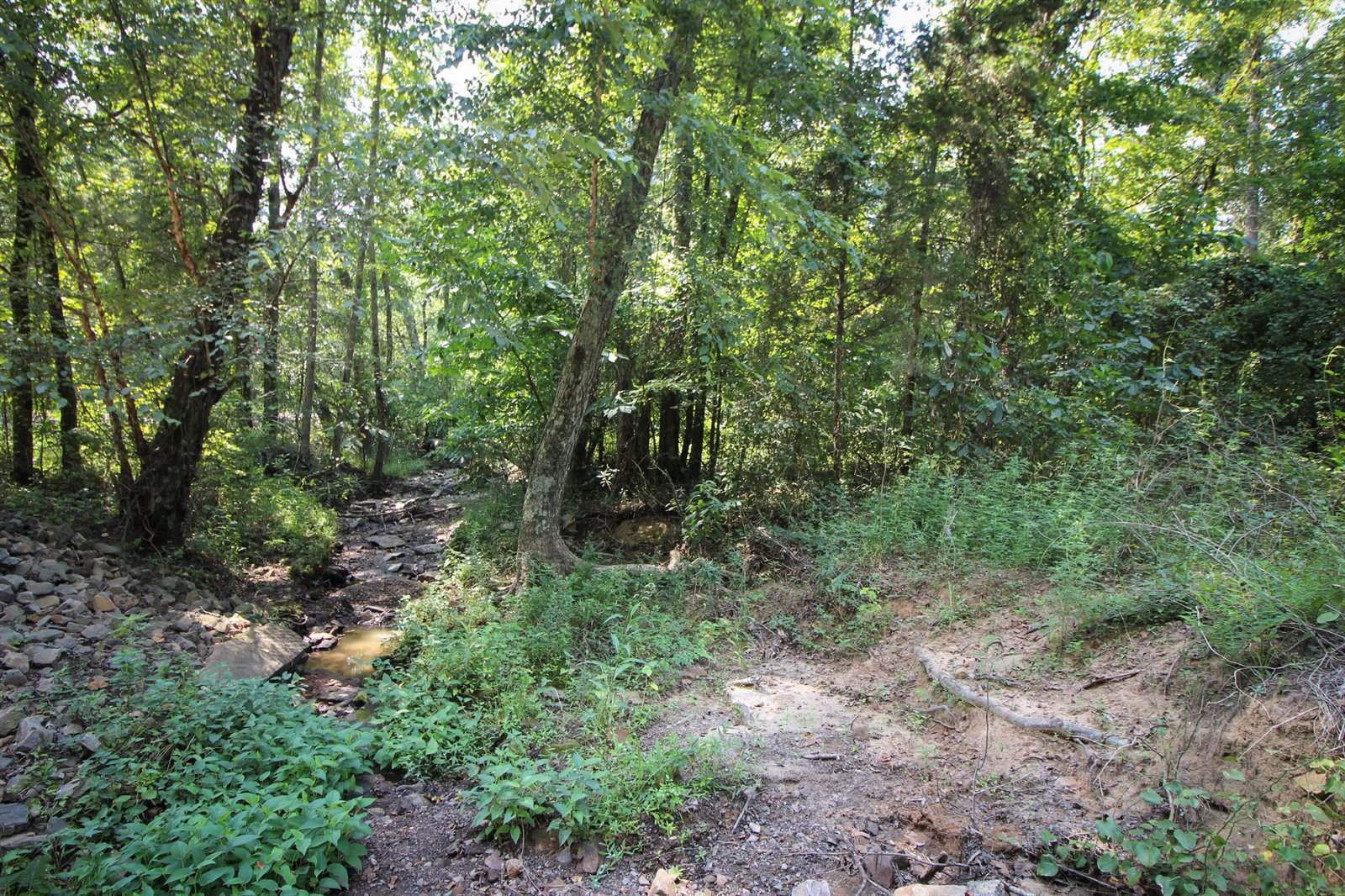 1825 Whorton Mountain Road, London, AR 72847