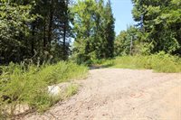 1825 Whorton Mountain Road, London, AR 72847