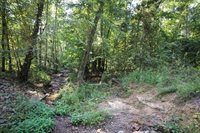 1825 Whorton Mountain Road, London, AR 72847