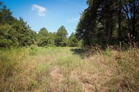 1825 Whorton Mountain Road, London, AR 72847