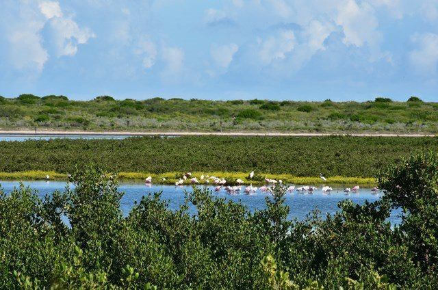 2 Spoonbill Cove, Laguna Vista, TX 78578