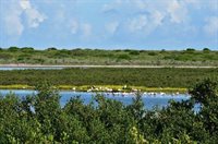 2 Spoonbill Cove, Laguna Vista, TX 78578