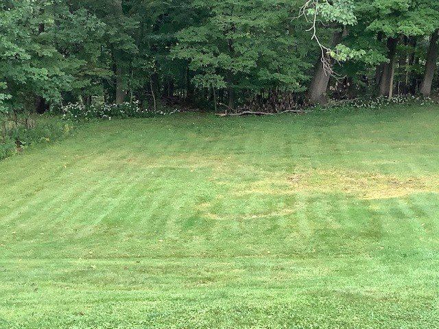 405 Torrance Avenue, Vestal, NY 13850