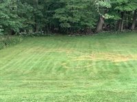 405 Torrance Avenue, Vestal, NY 13850