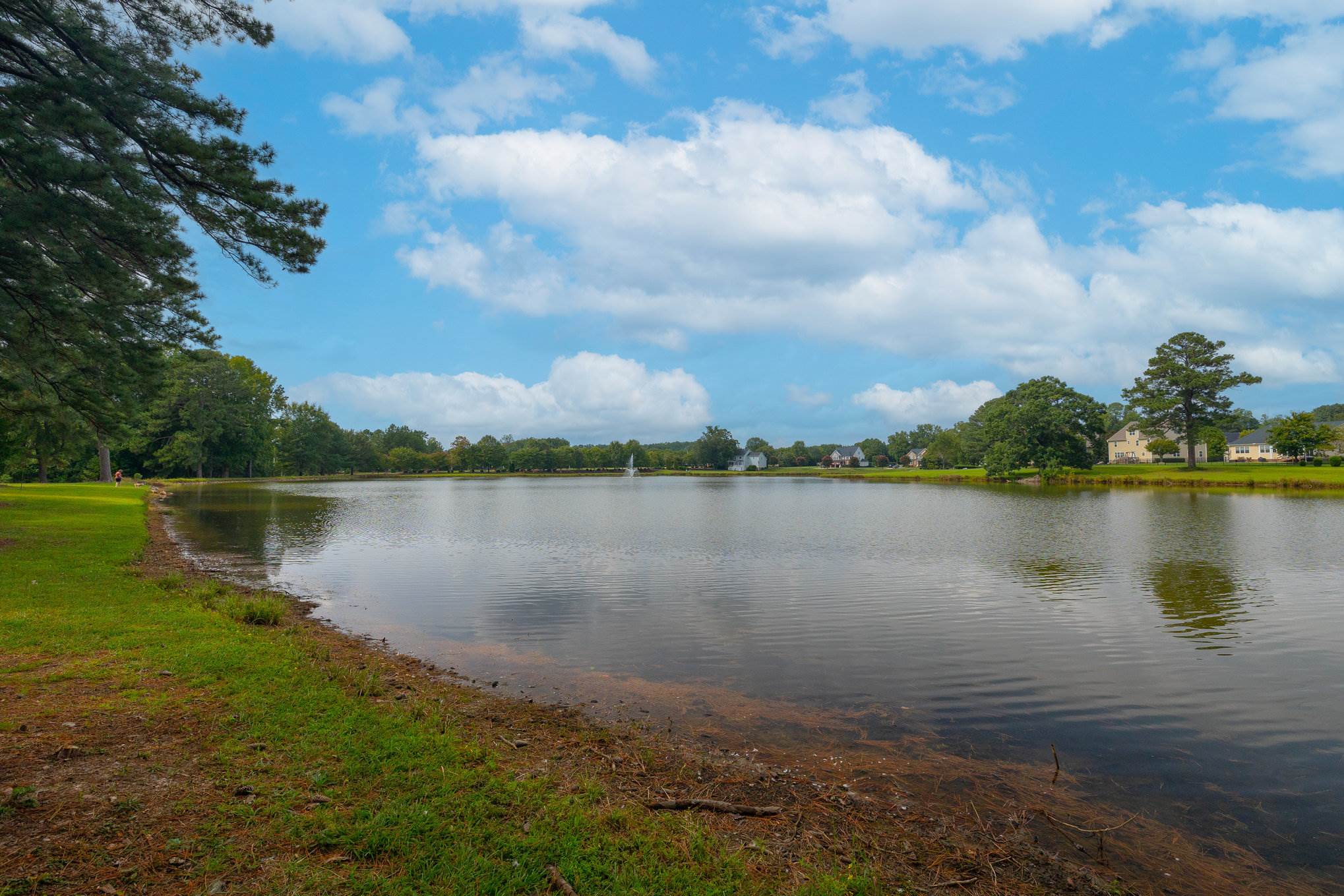 229 Meadow Beauty Drive, Apex, NC 27539