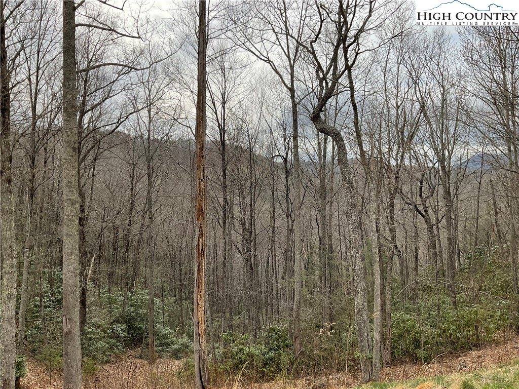 #32 South Creek Drive, Boone, NC 28607