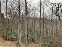 #32 South Creek Drive, Boone, NC 28607
