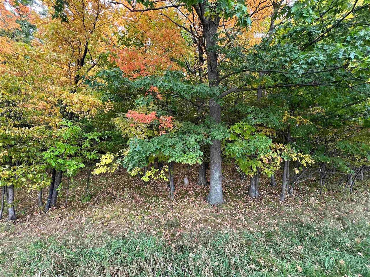 Lot 1 County Road Y, Marshfield, WI 54449