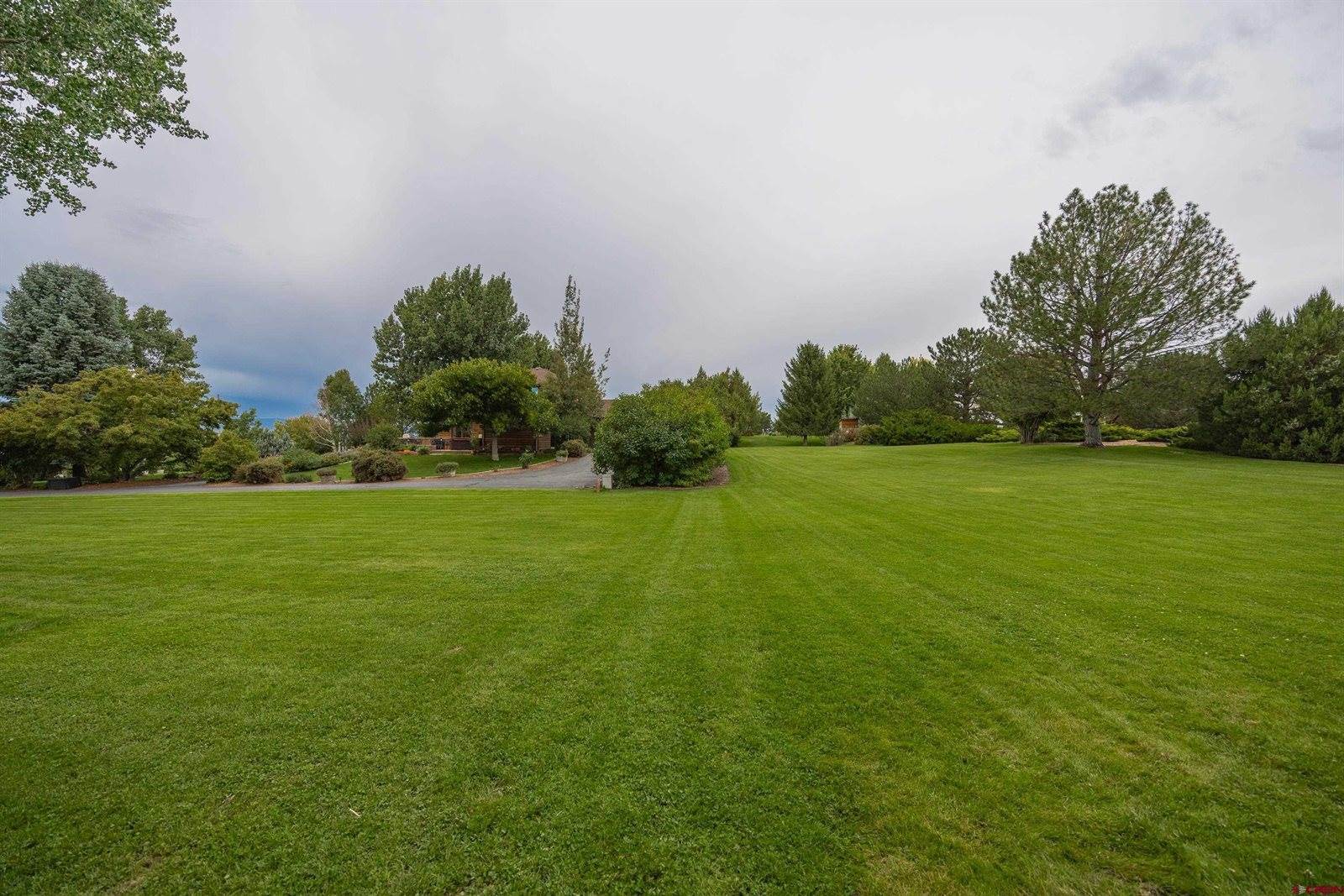 67561 Oakwood Drive, Montrose, CO 81401