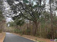 Lot 48 BURKETT LN, Denham Springs, LA 70706