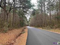 Lot 48 BURKETT LN, Denham Springs, LA 70706