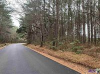 Lot 48 BURKETT LN, Denham Springs, LA 70706